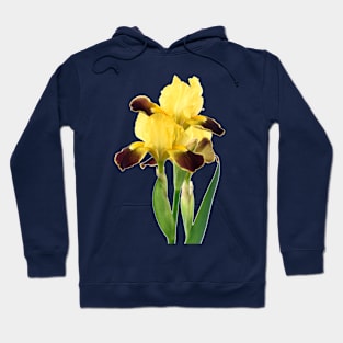 Bearded iris Hoodie